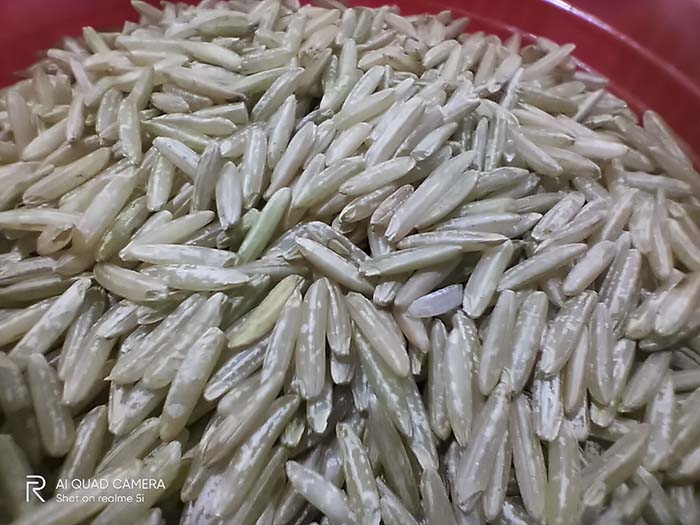 Brown Rice Macro Shot