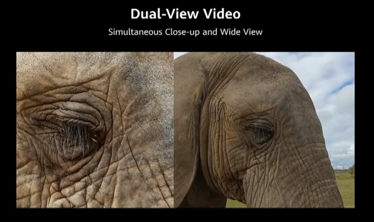 Dual Video Feature